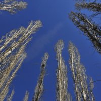 Startseite Aktuell Bild