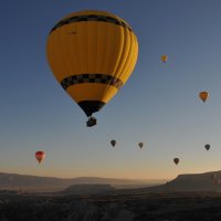 Startseite Aktuell Bild