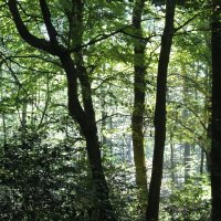 Startseite Aktuell Bild
